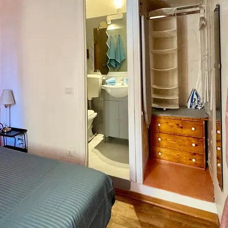 Pothos By Monteverdi Floransa