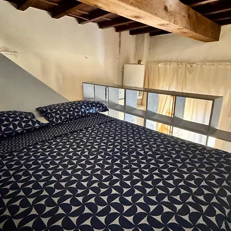 Pothos By Monteverdi