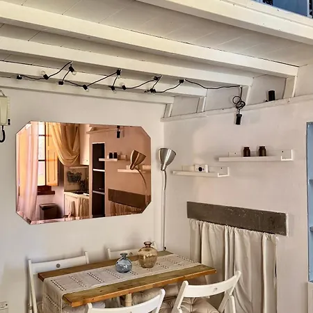 Pothos By Monteverdi Floransa