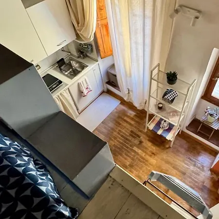 Pothos By Monteverdi Daire *