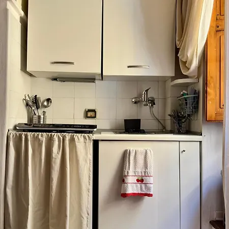 Pothos By Monteverdi Daire