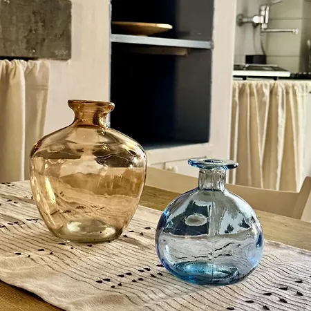 Pothos By Monteverdi Daire *