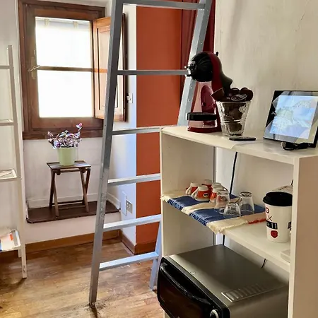 Pothos By Monteverdi Daire Floransa