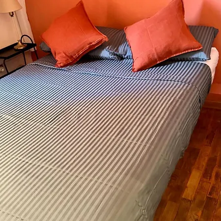 Pothos By Monteverdi